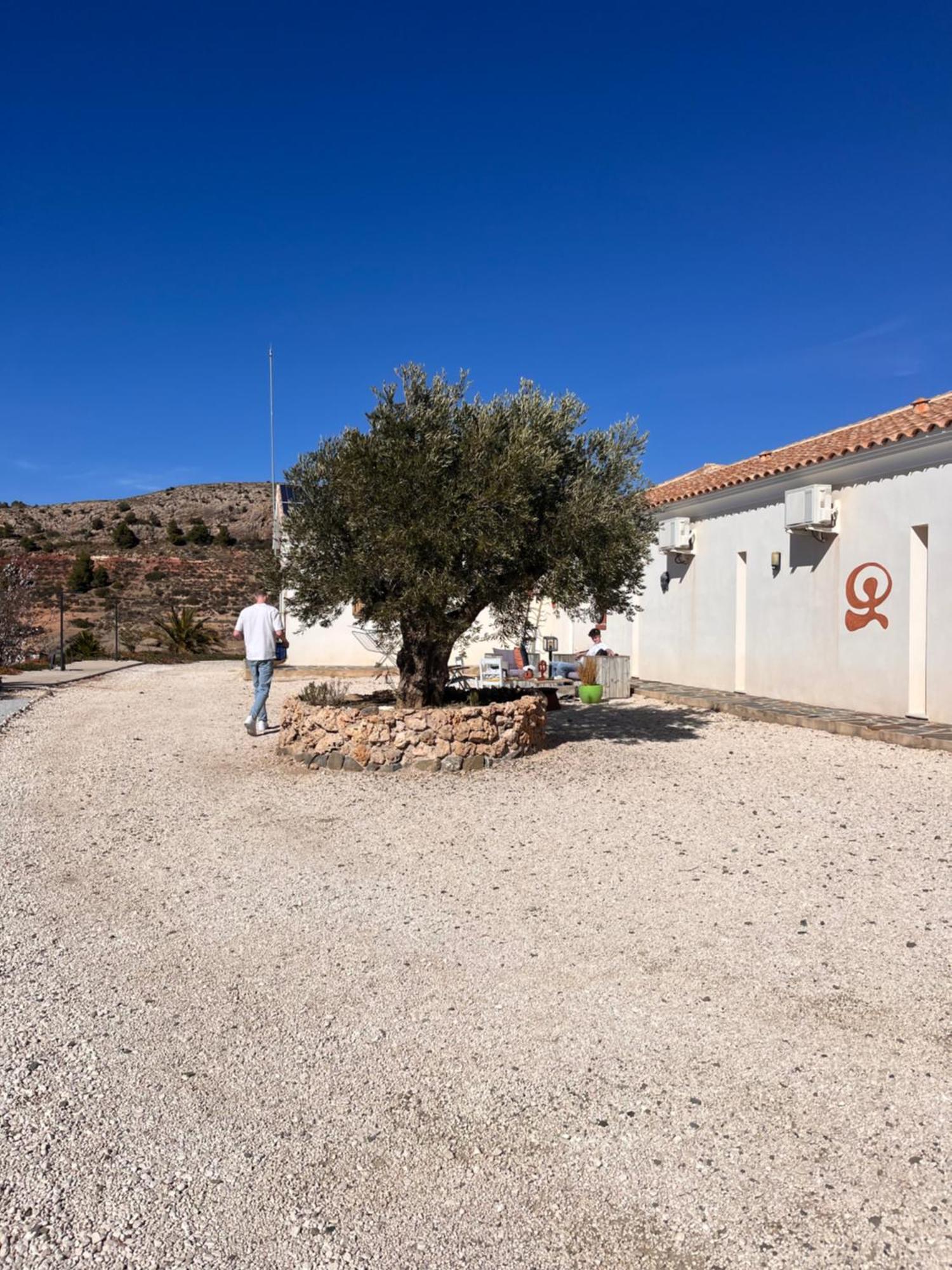 Bed and Breakfast Casa Lamberdina Fuensanta  Exteriér fotografie
